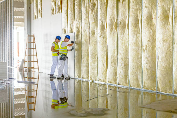 Best Crawl Space Insulation  in Hastings, MN